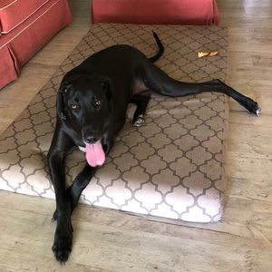 Meet your Posher, Victoria